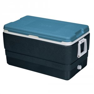 Igloo 00049494 Maxcold 70 Blue