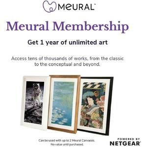 Netgear MCMYA-10000S Meural Annual Membership Card
