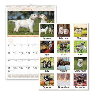 At-a-glance DMW16728 Calendar,wall,mth,puppies