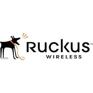 Ruckus 901-T750-US51 Hardware