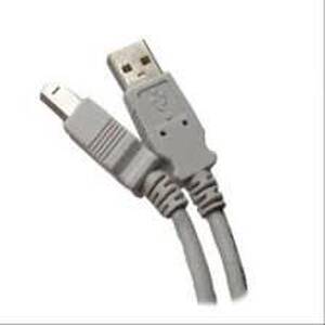 Epson CEPS-USBG , Cable, Usb A To B, 10 Ft, Dark Gray