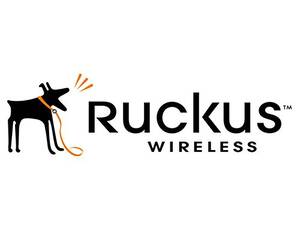 Ruckus 902-0180-US00 Spares Of Power Over Ethernet (poe) Injector (101