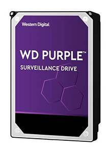 Western WD101PURZ Hard Disk Drive  10tb Sata 3.5 256mb Av Brand Wd Pur
