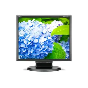 Nec E172M-BK 17 Desktop Monitor With Led Backlighting