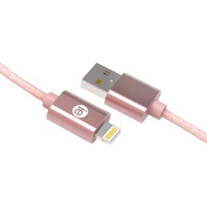 Iessentials IEN-BC6L-RGLD Usb Charge  Sync Cables