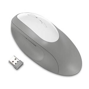 Kensington K75405WW Pro Fit Ergo Wireless Mouse-gray