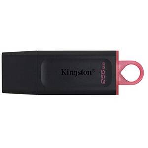 Kingston DTX/256GB 256gb Usb3.2 Gen1 Datatraveler