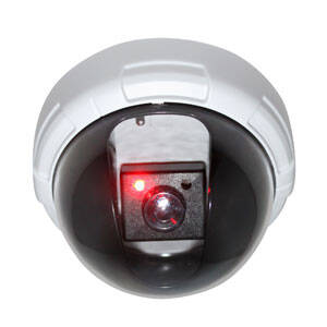 Alc AWFD02 - Dome Decoy Camera
