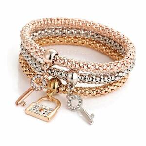 Claudia N9028.1 Gsr Bracelet Set- Locked