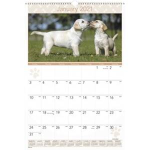 Acco AAG DMW16728 At-a-glance Puppies Monthly Wall Calendar - Julian D