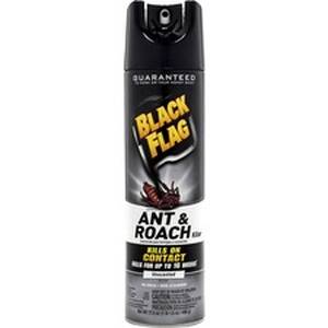 Diversey DVO CB110315 Black Flag Ant  Roach Killer Unscented - Spray -