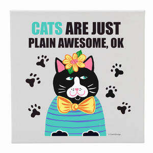 Creative 105055 Canvas 12x12 Cats Awesome