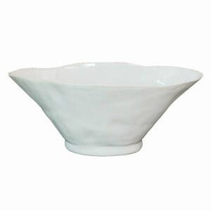 Plutus PBTH93828 Ceramic Bowl  - White In White Porcelain