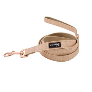 Sassy L-PINOT Leash (pack Of 1)