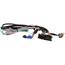 Directed RA42219 Digital Systems T-harness For Dball2 (for Chrysler Ti