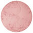 Terra 81045301273 H2o Matte Blushing Minerals Naked Rosie