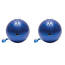 Cta CTAWIBOWL Kit Cta Wii Bowling Ball Qt. 2