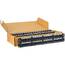 Cablesys ICC-ICMPP4860V Icc Icc-icmpp4860v Patch Panel, Cat 6, 48-port