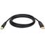 Tripp U022-006 6ft Usb 2.0 Ab Gold Device Cable Shielded A Male To B M