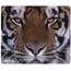 Allsop 30188 (tm)  Naturesmart Mouse Pad (tiger)