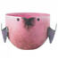 Accent 10017666 Birdie Candle - Pink Berry Sorbet