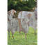 Kalalou CHE1369 Set Of 3 Corrugated Metal Christmas Sheep Yard Art Lar