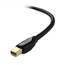 Cable 101019-6 6 Ft Mini Displayport To Hdmi Cable