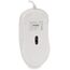 Macally ICEMOUSE3 New  3button Optical Usb Wired Computer Mouse With 5
