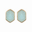 Dobbi VE2334GDTQ Druzy Hexagon Post Stud Earrings ( Variety Of Colors 