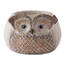 Accent 4506647 Owl Garden Planter With Solar Light-up Eyes