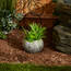 Accent 4506652 Natural-look Garden Planter With Leaves - 3.75 Inches