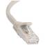 Startech DM7773 .com 100ft Cat6 Ethernet Cable, 10 Gigabit Snagless Rj