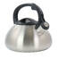 Mr 128621.01 Mr. Coffee Harpwell 1.8 Quart Stainless Steel Whistling T