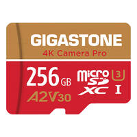 GS-2IN1-4KA2V30-256GB-R