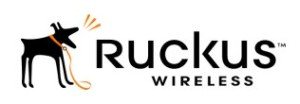 Ruckus 902-0169-US00 