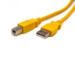 Bytecc USB2-10AB-Y Usb 2.0 Cable A Male To Type B Male