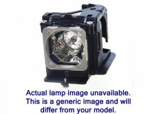 Sharp NP24LP Replacement Lamp For Np-pe401h Projector