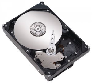 Seagate ST3500321CS 500gb 8mb Cache Sata