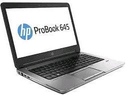 Protect HP1472-86 Hp Probook 645 Laptop Cover Protector