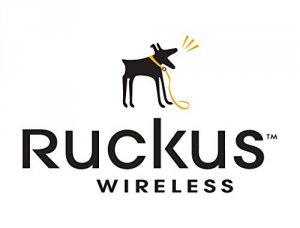 Ruckus S01-VSPT-1000 End User Watchdog Premium Support