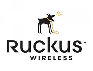 Ruckus S01-VSPT-3000 End User Watchdog Premium Support