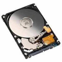 Ibm 81Y9738 500gb 72k 6gbps Nl Sata 25in Sff Ss Hd