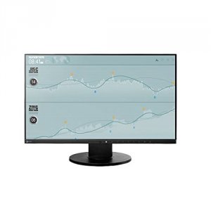 Eizo EV2450FX-BK 23.8in Ws Led 1920x1080 1000:1