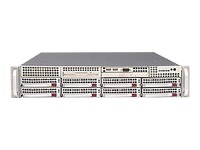 Supermicro AS-2021M-T2R+V Silver, Integrated Board H8dme-2, Dual Amd O