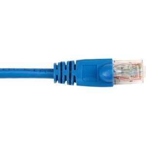 CAT5EPC-002-BL-10PAK