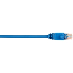 CAT5EPC-003-BL-10PAK