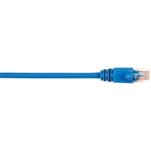 CAT5EPC-003-BL-25PAK