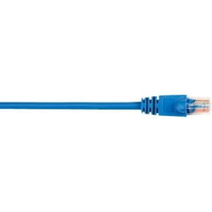 CAT5EPC-004-BL-10PAK