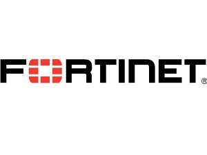 Fortinet FC-10-01200-255-02-24 L3 24x7 Phone Supp For Fg-1200d: 2yr