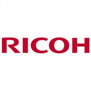 Ricoh 407113 Type O Interface Unit